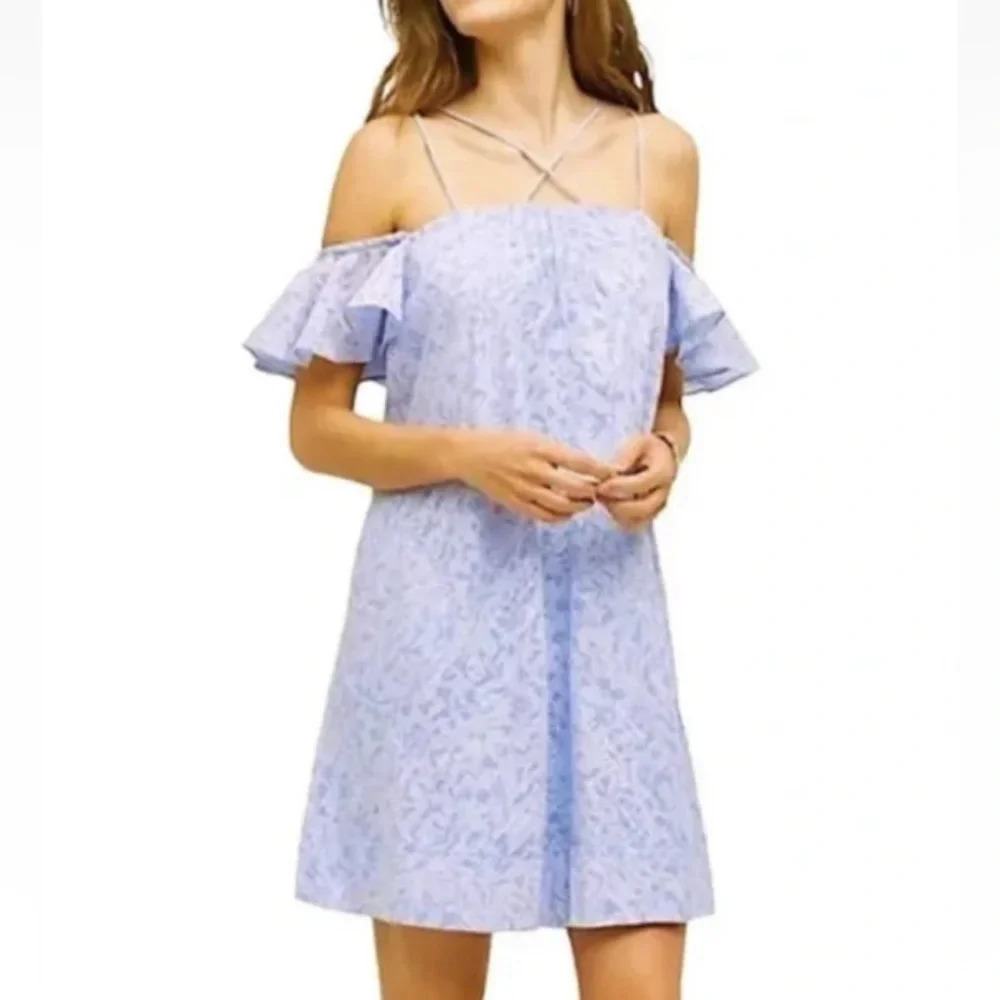 Anthropologie Dayflower Dress By HD In Paris Blue Floral‎ Dress Womens XS (707)